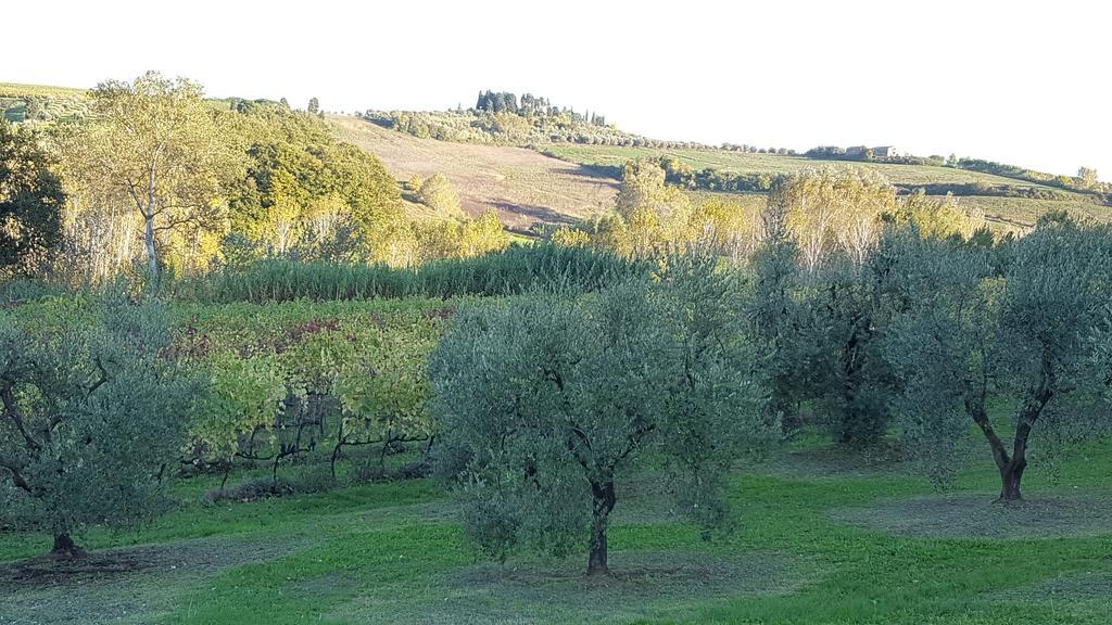 Вілла Podere Chiasso Gherardo Peccioli Екстер'єр фото