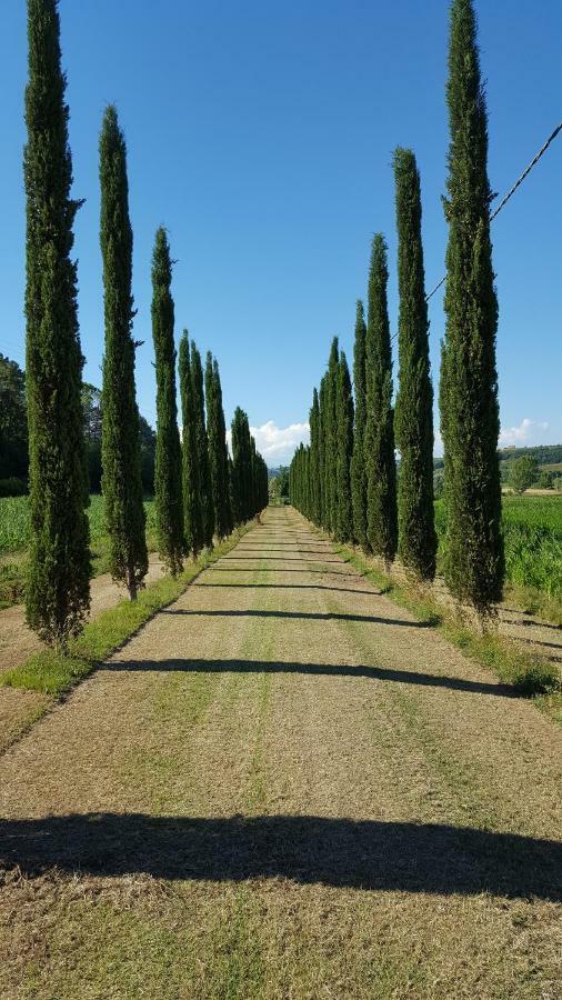 Вілла Podere Chiasso Gherardo Peccioli Екстер'єр фото