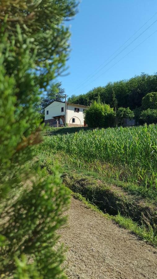 Вілла Podere Chiasso Gherardo Peccioli Екстер'єр фото